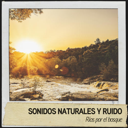 Sonidos Naturales y Ruido: Rios por el bosque