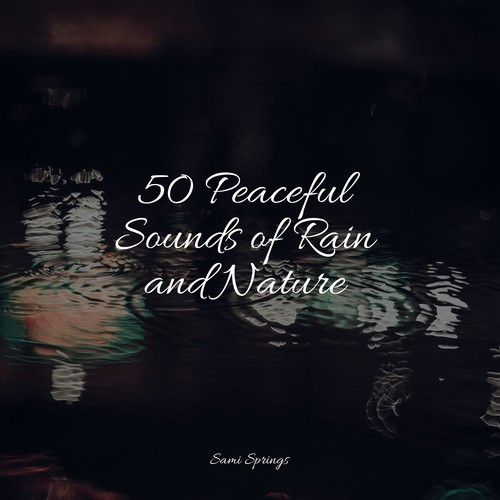 50 Peaceful Sounds of Rain and Nature