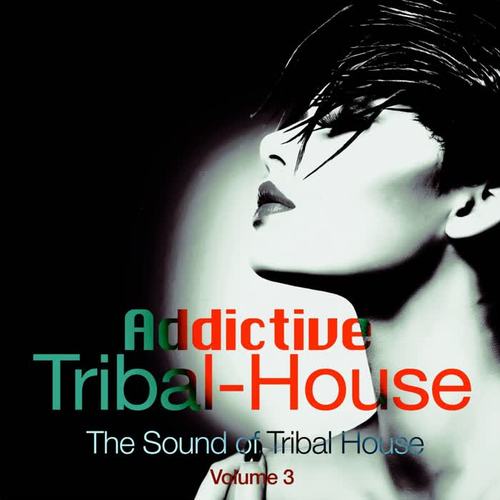 Addictive Tribal House, Vol. 3