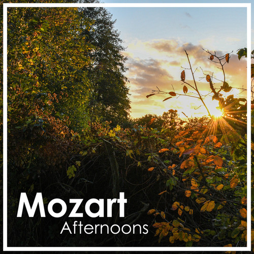 Mozart Afternoons