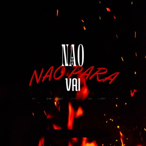 Nao Para Nao Vai (Explicit)