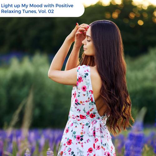 Light Up My Mood With Positive Relaxing Tunes, Vol. 02