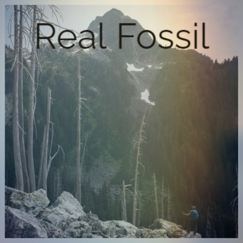 Real Fossil