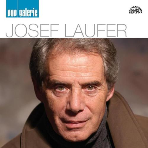 Pop galerie  Josef Laufer