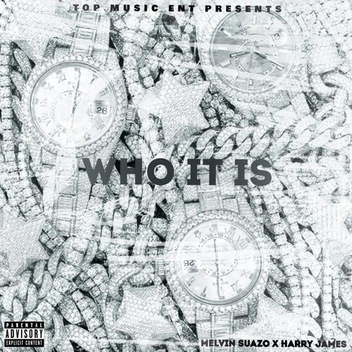 Who It Is (feat. Harry James) [Explicit]