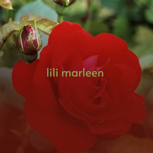 Lili Marleen