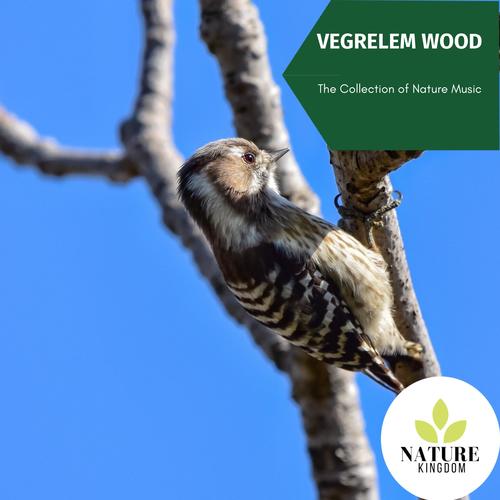 Vegrelem Wood - The Collection of Nature Music