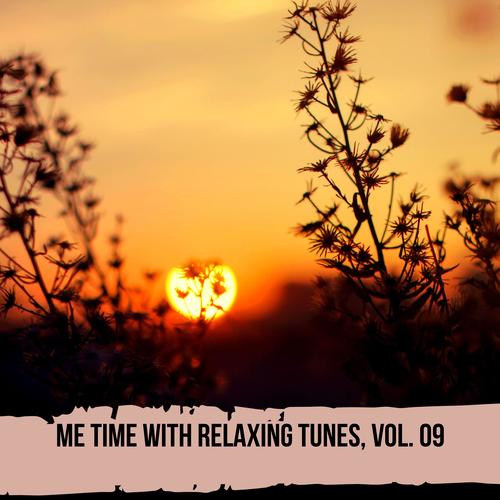 Me Time with Relaxing Tunes, Vol. 09