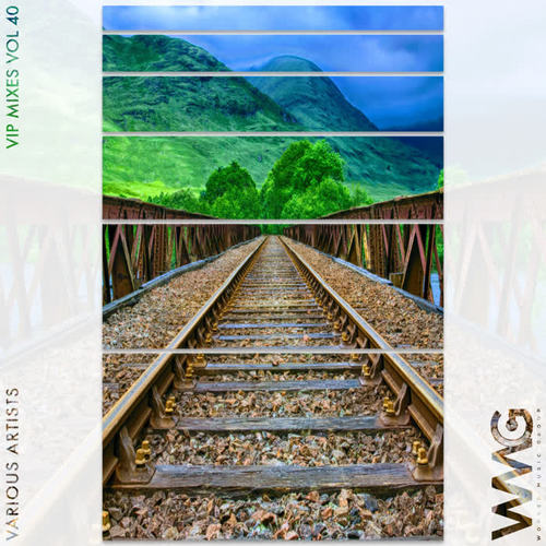 VIP Mixes, Vol. 40