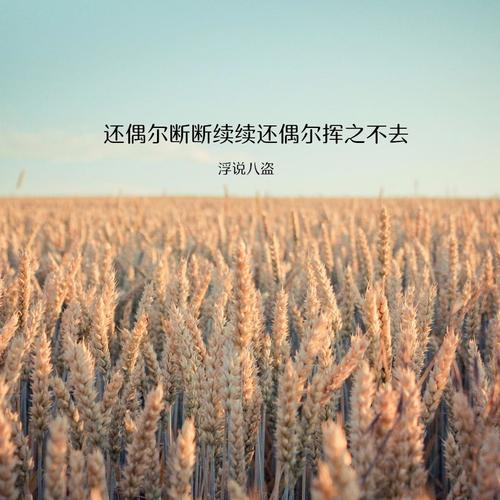 还偶尔断断续续还偶尔挥之不去