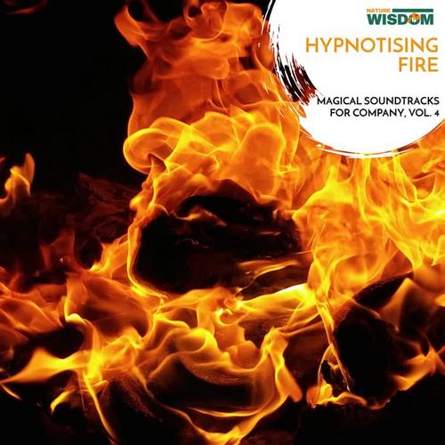 Hypnotising Fire - Magical Soundtracks for Company, Vol. 4