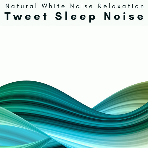 1 Tweet Sleep Noise