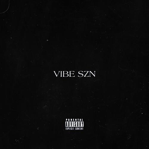 VIBE SZN - (compilation project) [Explicit]