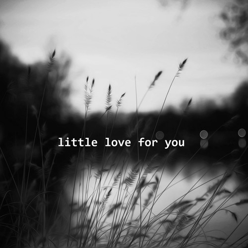 Little Love for You