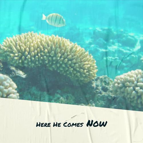 Here He Comes Now