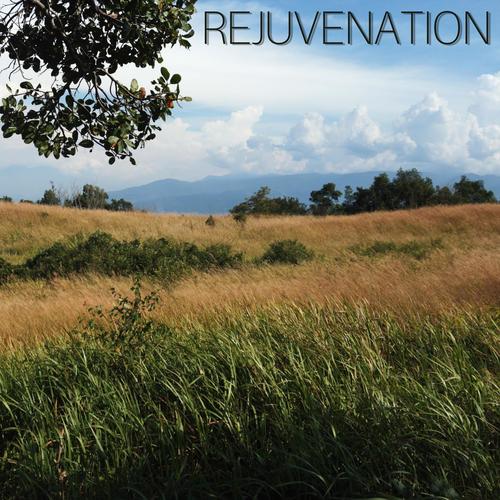 Rejuvenation