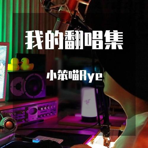 小笨喵翻唱集