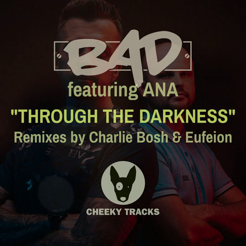 Through The Darkness