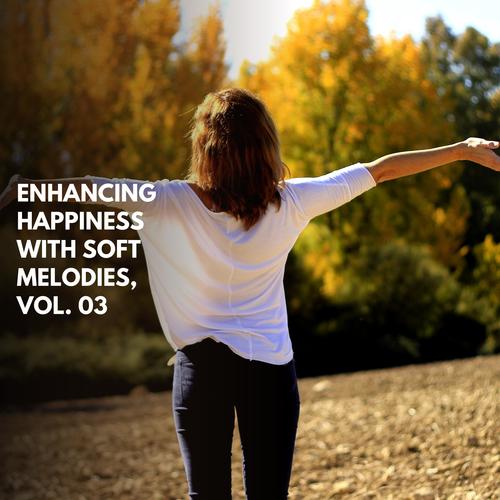 Enhancing Happiness With Soft Melodies, Vol. 03