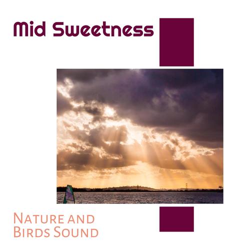 Mid Sweetness - Nature and Birds Sound