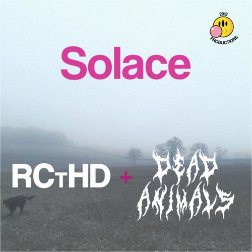 Solace (Single) [Explicit]