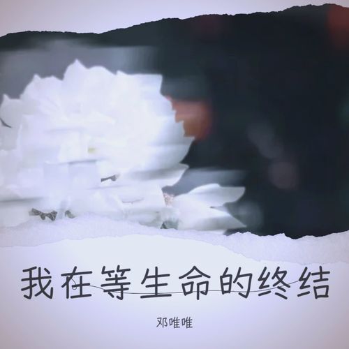 我在等生命的终结