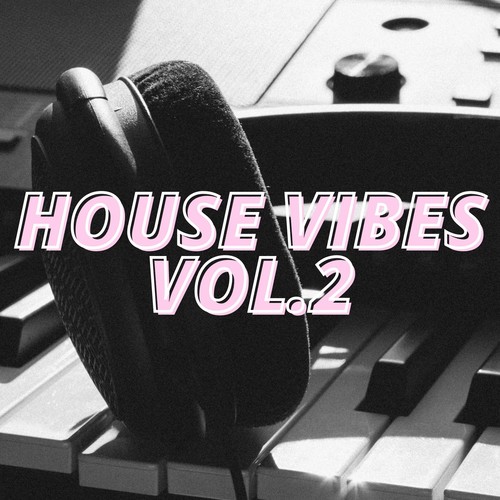 House Vibes Vol.2