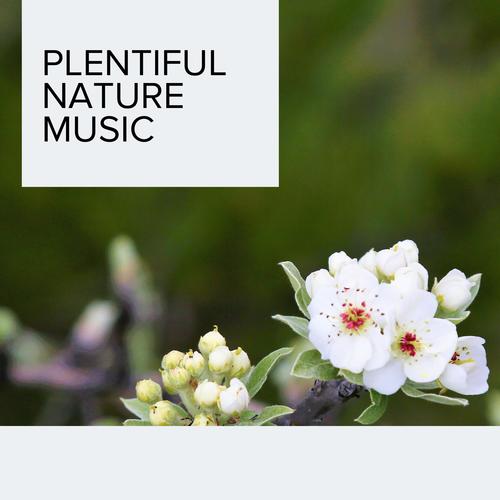 Plentiful Nature Music