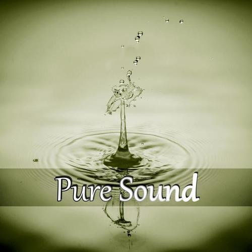 Pure Sound – Sound of Summer Rain, Calm Relaxing Nature Sounds, Water Sound Perfect for Sleep, Massage, Tai Chi, Meditation, Serenity Music to Reduce Anxiety and Sadness, Music for Babies