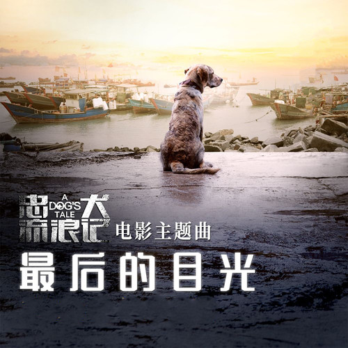 忠犬流浪记  电影主题曲