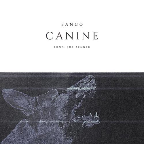 Canine (Explicit)