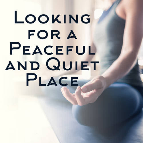 Looking for a Peaceful and Quiet Place