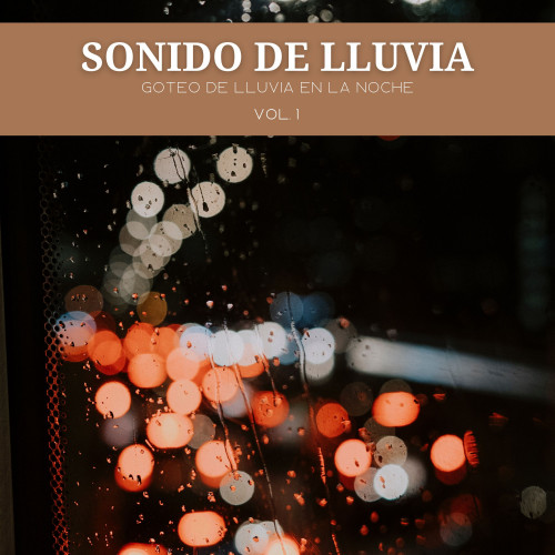 Sonido De Lluvia: Goteo De Lluvia En La Noche Vol. 1