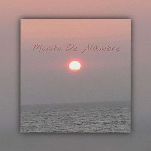 Monito De Alambre