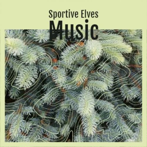 Sportive Elves Music