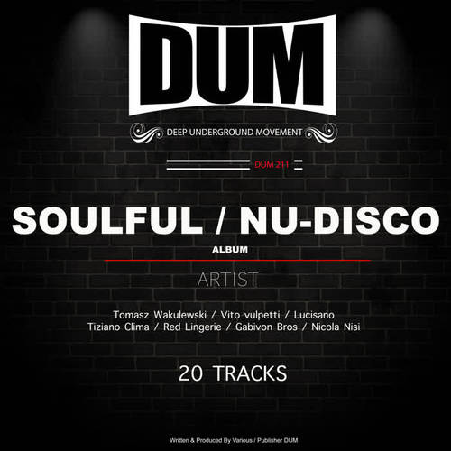 Soulful: Nu-Disco Album