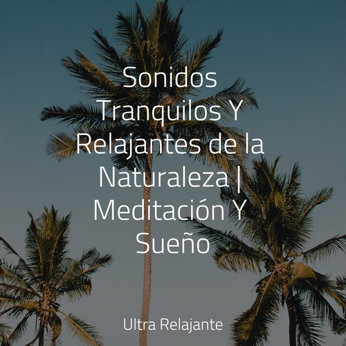 Sonidos Tranquilos Y Relajantes de la Naturaleza | Meditación Y Sueño