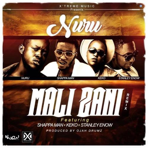 Mali Zani (Remix)