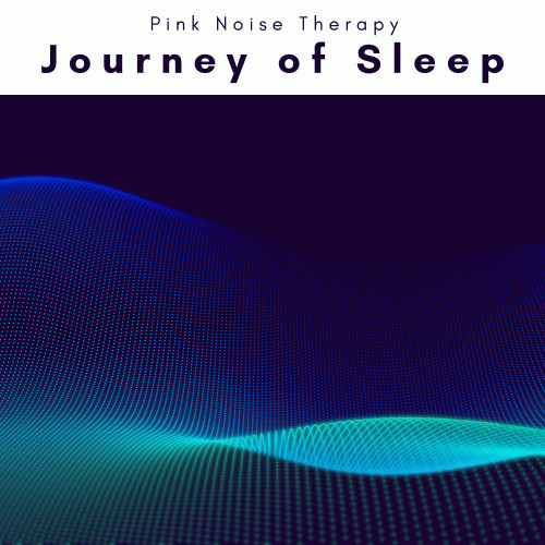 2 0 2 2 Journey of Sleep