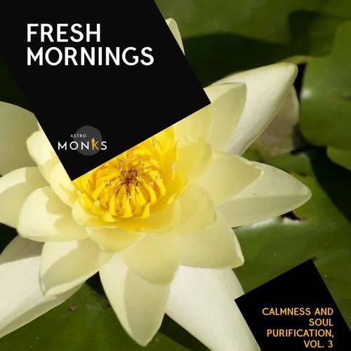 Fresh Mornings - Calmness and Soul Purification, Vol. 3