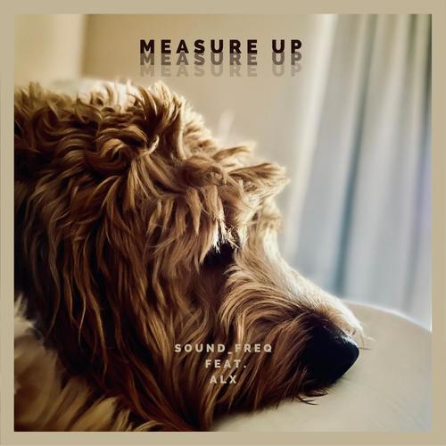 Measure Up (feat. ALX) [Explicit]