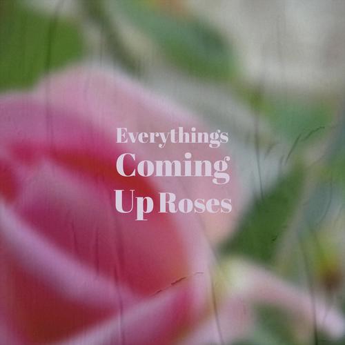 Everythings Coming Up Roses