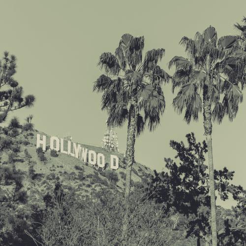 Hollywood Dreams