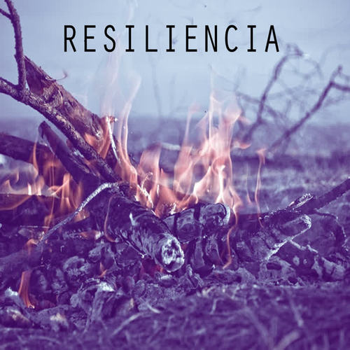 Resiliencia