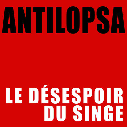 Le désespoir du singe