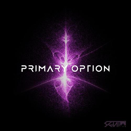 Primary Option