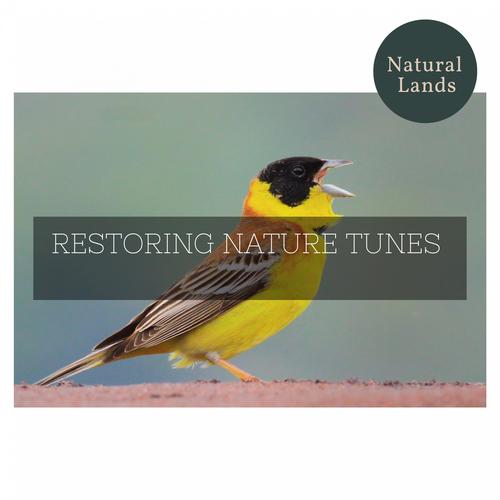 Restoring Nature Tunes