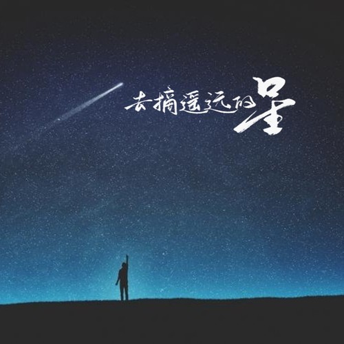 去摘遥远的星