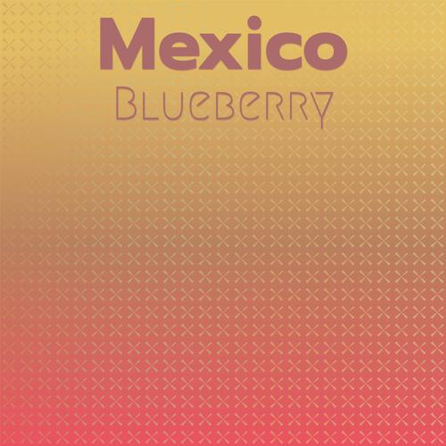 Mexico Blueberry