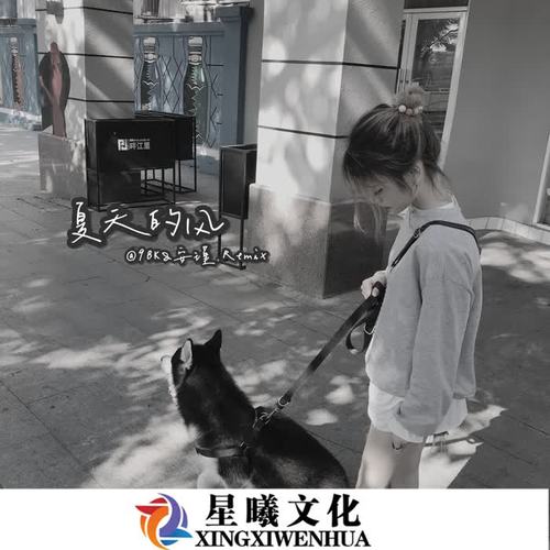 夏天的风